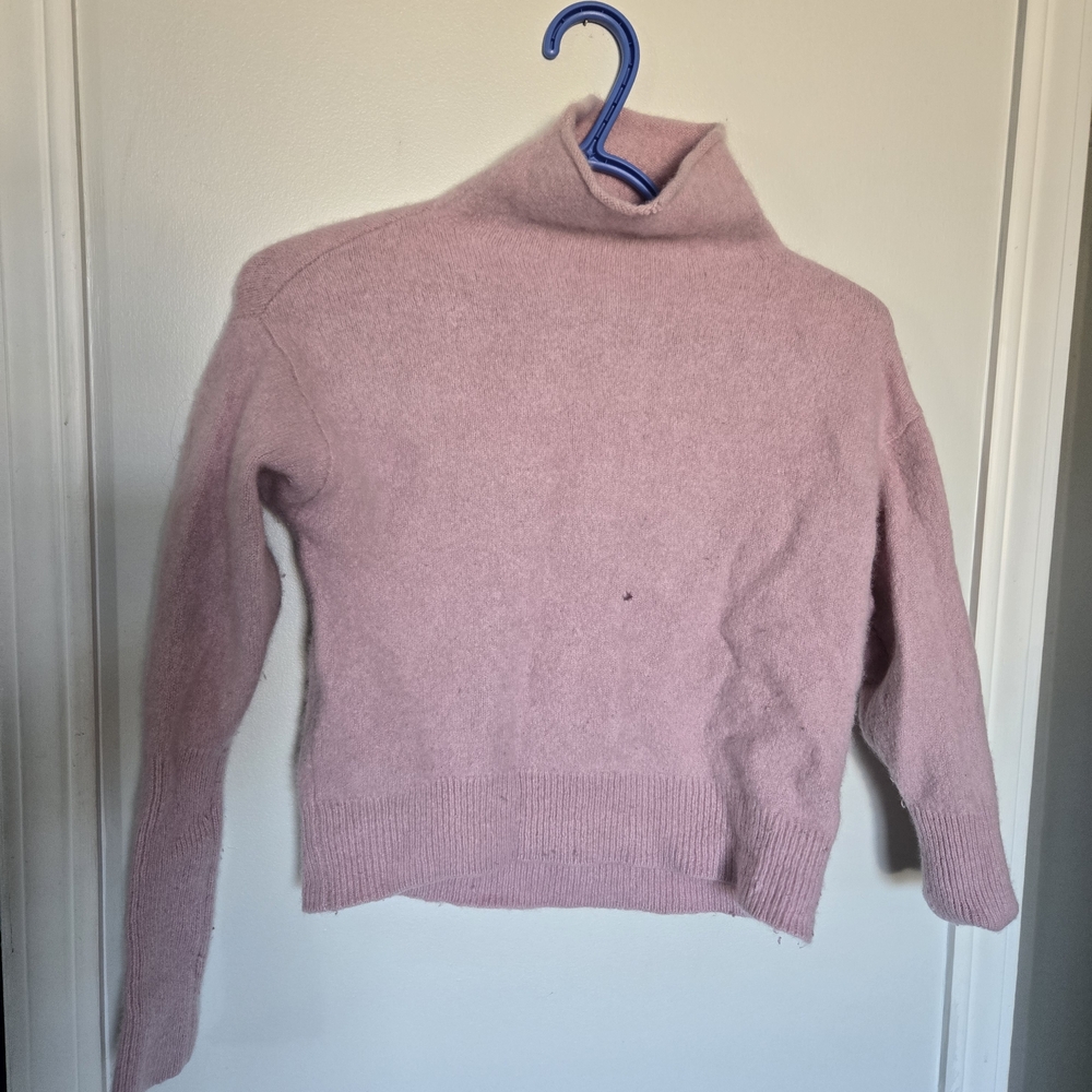Wilfred Soft Pink Turtleneck Sweater